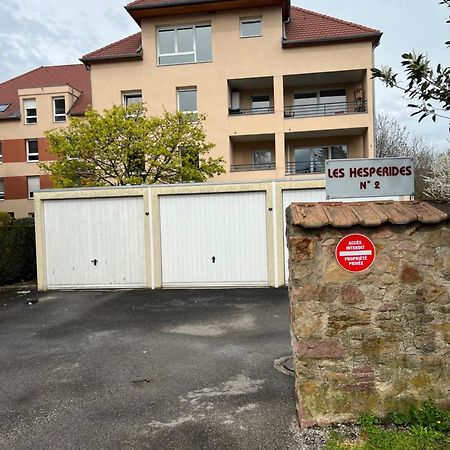 L'Alsace Autrement Lägenhet Soultz-Haut-Rhin Exteriör bild
